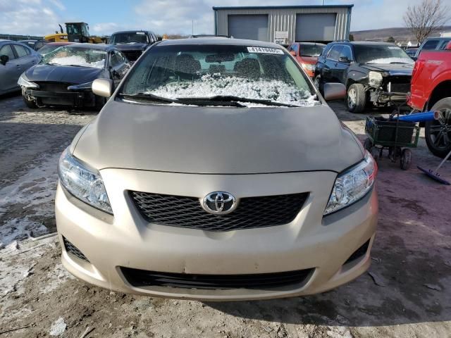 2009 Toyota Corolla Base