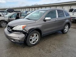 Salvage cars for sale at Louisville, KY auction: 2010 Honda CR-V EXL