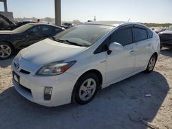 Salvage cars for sale at West Palm Beach, FL auction: 2010 Toyota Prius