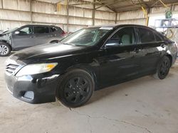 Salvage cars for sale at Phoenix, AZ auction: 2011 Toyota Camry Base