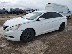 Salvage cars for sale at Brighton, CO auction: 2013 Hyundai Sonata GLS