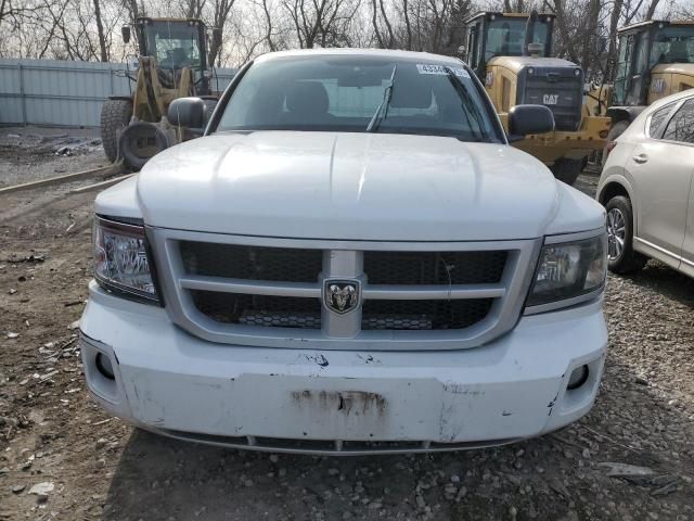 2011 Dodge Dakota SLT