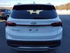 2023 Hyundai Santa FE SEL Premium