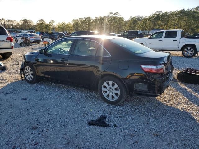 2009 Toyota Camry Hybrid