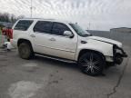 2008 Cadillac Escalade Luxury