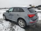 2013 Audi Q5 Premium Plus