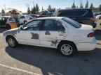 1999 Nissan Sentra Base