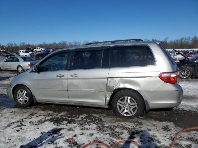 2005 Honda Odyssey EXL