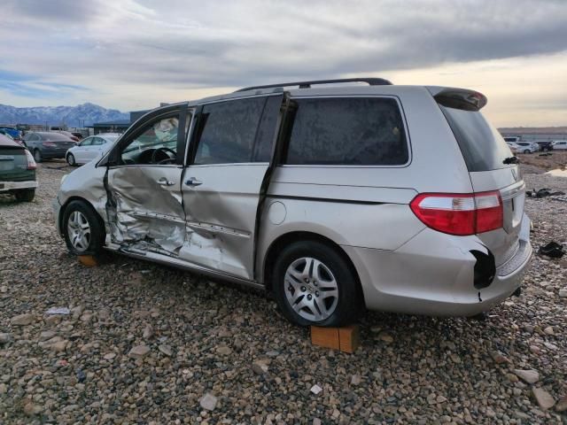 2005 Honda Odyssey EXL