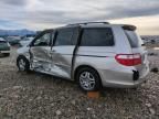 2005 Honda Odyssey EXL