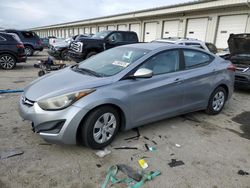 Salvage cars for sale at Louisville, KY auction: 2016 Hyundai Elantra SE