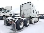 2020 Freightliner Cascadia 126