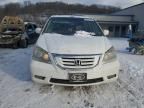 2010 Honda Odyssey EXL