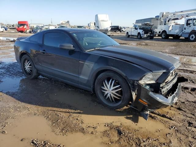 2013 Ford Mustang