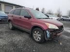 2007 Honda CR-V EX