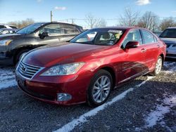 2011 Lexus ES 350 en venta en Hillsborough, NJ