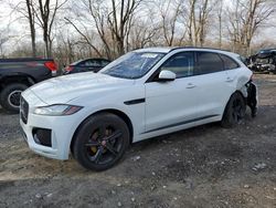 Salvage cars for sale at Cicero, IN auction: 2020 Jaguar F-PACE Checkered Flag