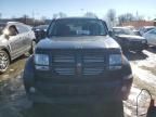 2011 Dodge Nitro Heat