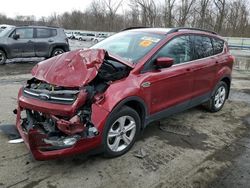 Salvage cars for sale at Ellwood City, PA auction: 2016 Ford Escape SE