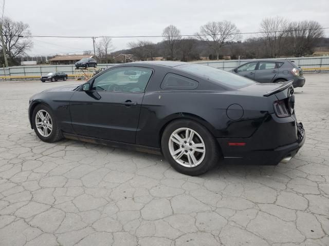 2013 Ford Mustang