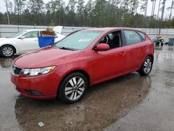 Salvage cars for sale at Harleyville, SC auction: 2013 KIA Forte EX