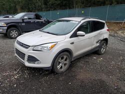 Vehiculos salvage en venta de Copart Graham, WA: 2016 Ford Escape SE