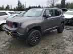 2018 Jeep Renegade Trailhawk