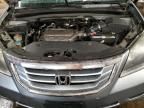 2008 Honda Odyssey EXL