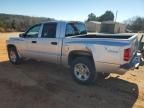 2011 Dodge Dakota SLT