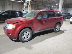 Salvage cars for sale from Copart Woodhaven, MI: 2012 Ford Escape XLT