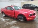 2005 Ford Mustang