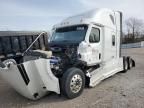 2023 Freightliner Cascadia 126