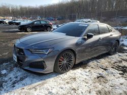 Salvage cars for sale at Baltimore, MD auction: 2021 Acura TLX Type S