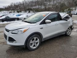 Salvage cars for sale at Hurricane, WV auction: 2014 Ford Escape SE