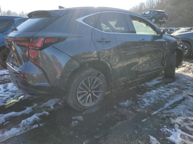 2024 Lexus NX 350 Base