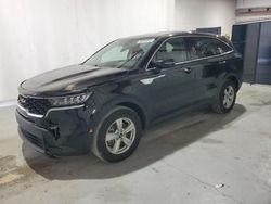 Salvage cars for sale at New Orleans, LA auction: 2023 KIA Sorento LX