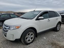 Salvage cars for sale at Magna, UT auction: 2011 Ford Edge SEL