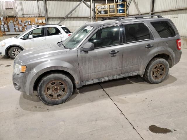 2010 Ford Escape XLT