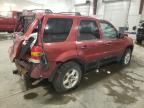 2005 Ford Escape XLT