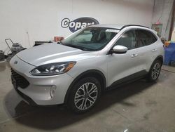 Clean Title Cars for sale at auction: 2020 Ford Escape SEL