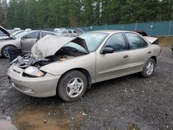 Salvage cars for sale at Graham, WA auction: 2004 Chevrolet Cavalier