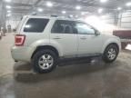 2009 Ford Escape Limited