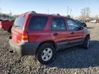 2005 Ford Escape XLT