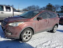 Carros con verificación Run & Drive a la venta en subasta: 2014 Ford Escape SE