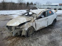 Salvage cars for sale at Columbia Station, OH auction: 2014 Toyota Camry L