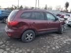 2007 Hyundai Santa FE GLS