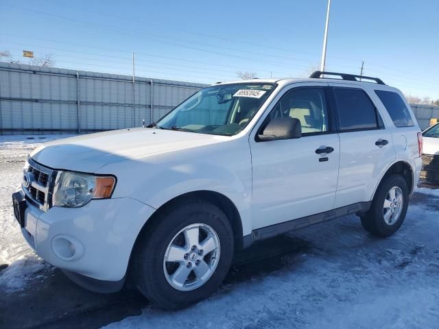 2012 Ford Escape XLT