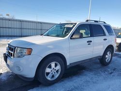 Salvage cars for sale at Littleton, CO auction: 2012 Ford Escape XLT