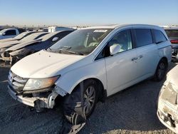 Salvage cars for sale at San Diego, CA auction: 2014 Honda Odyssey EXL