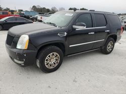 Cadillac salvage cars for sale: 2012 Cadillac Escalade Luxury